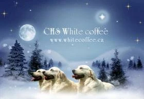 White Coffee