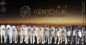 Ken’Ichi Ai