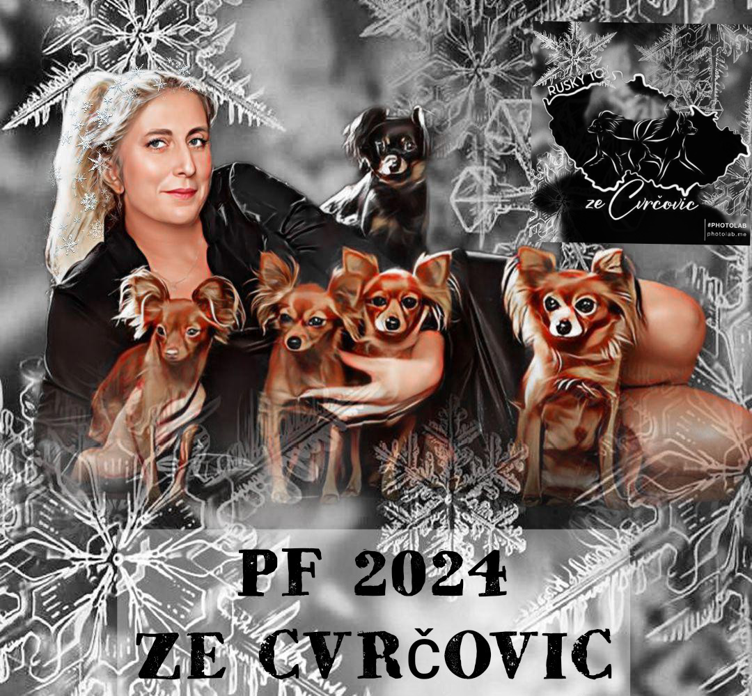 CHS ZE CVRČOVIC 