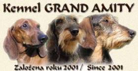 Grand Amity