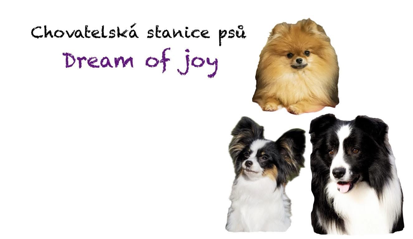 Dream of joy
