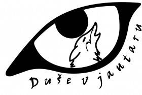Duše v jantaru