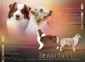 Rosycheeks