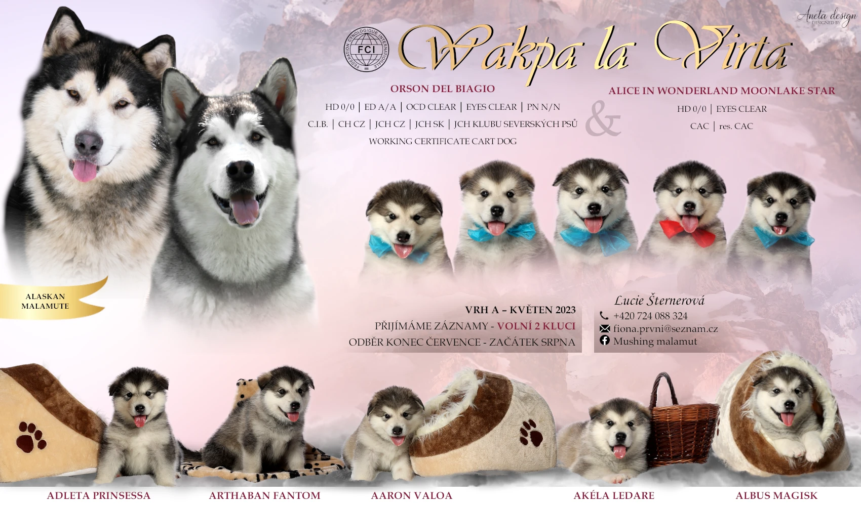Wakpa la Virta