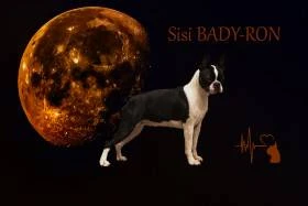 Bady-ron