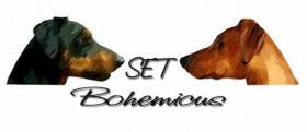 Set Bohemicus