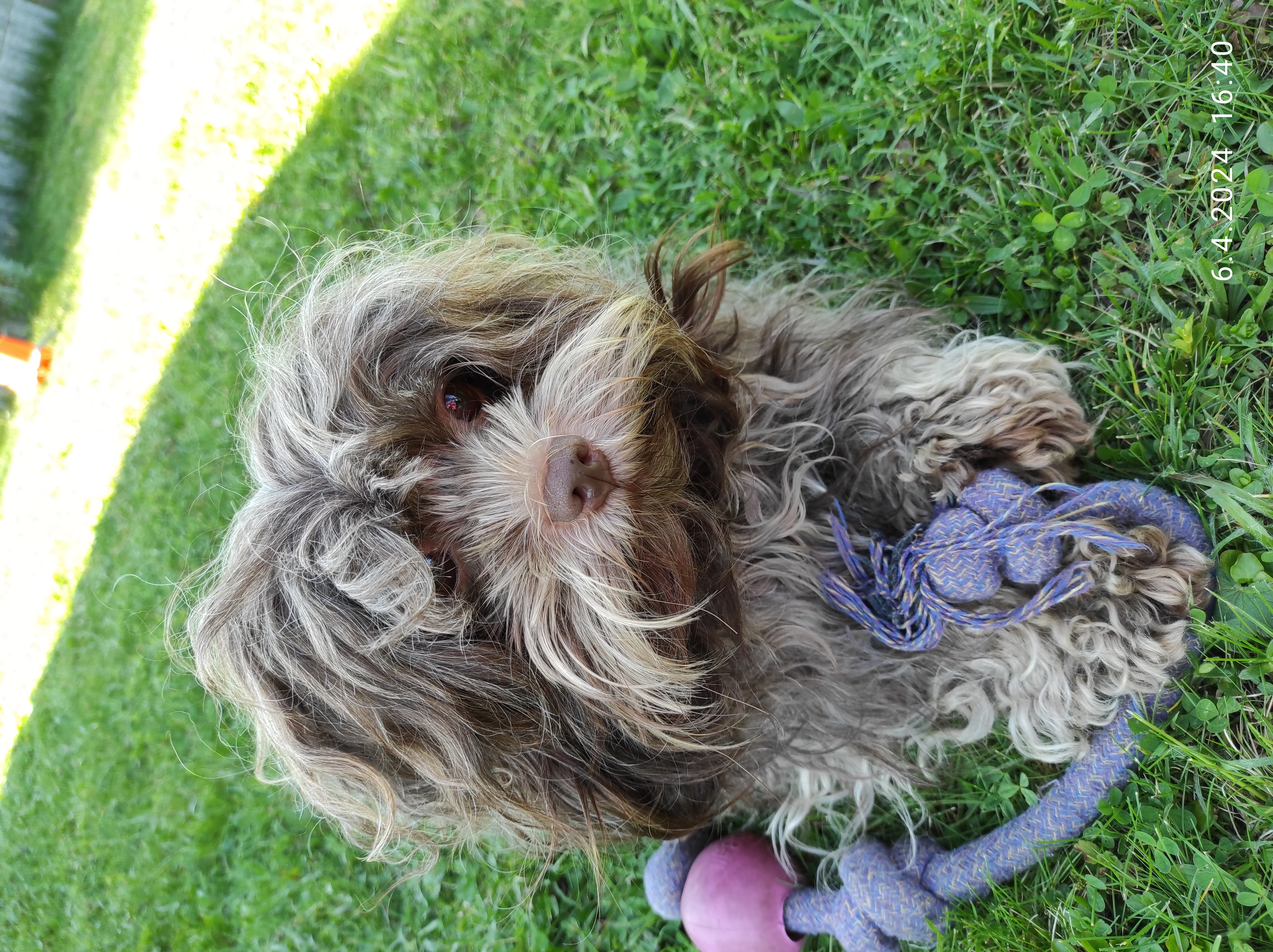 Od Toku Divoké Orlice