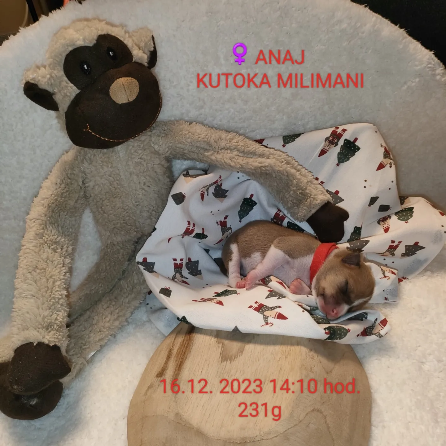 Kutoka Milimani