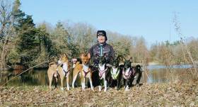 Basenji ewo
