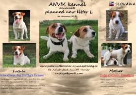 Anvik