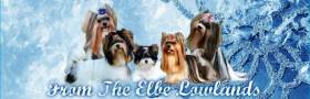 From the Elbe Lowlands