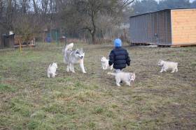 Runner Family