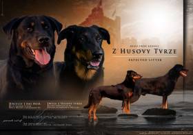 Z Husovy tvrze