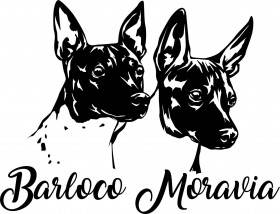 Barloco Moravia
