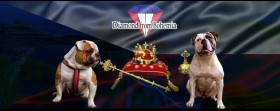 Diamond from Bohemia