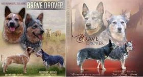 Brave Drover