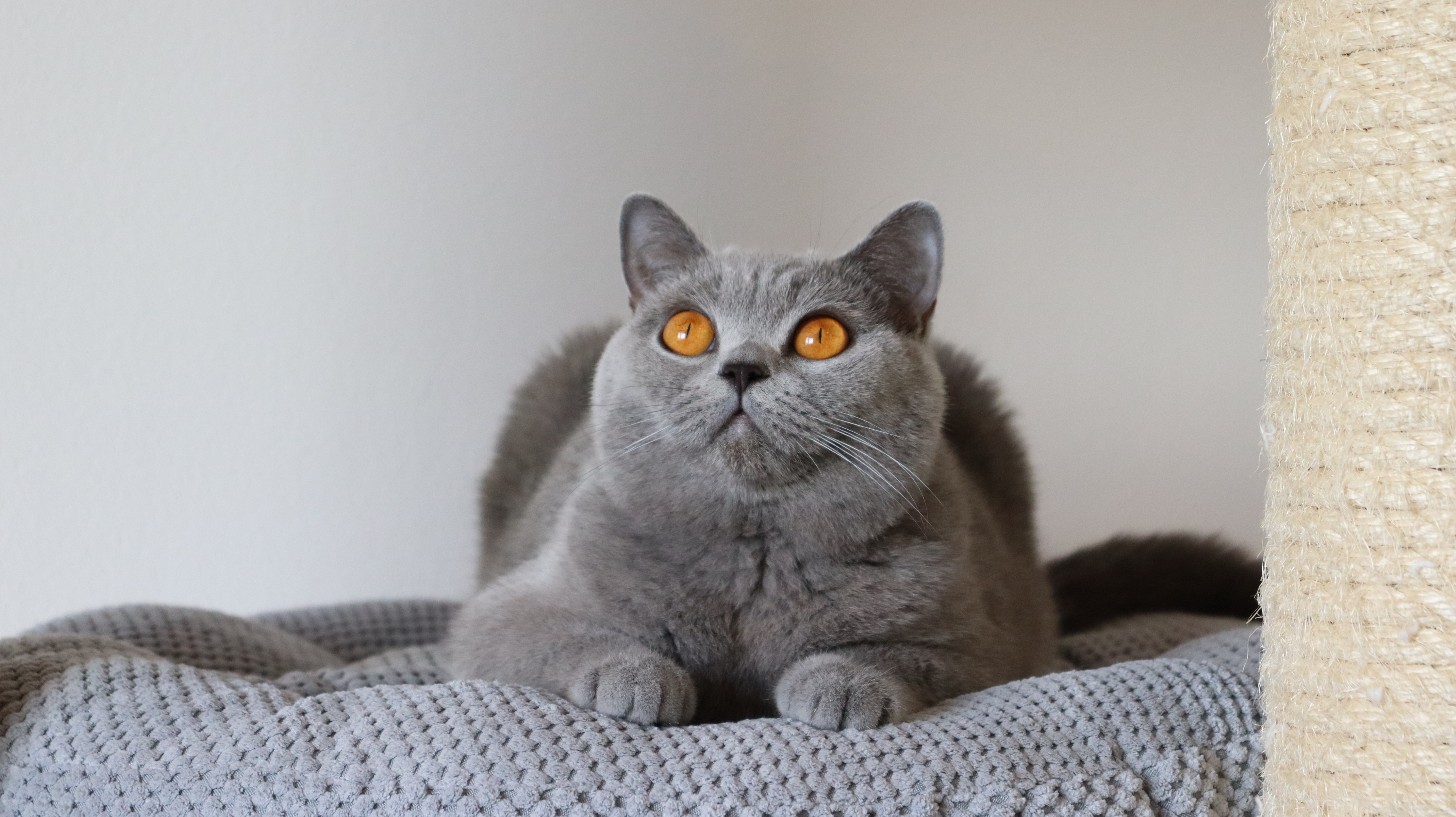 pretty-lili.cz