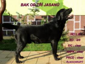 Od Tří jasanů