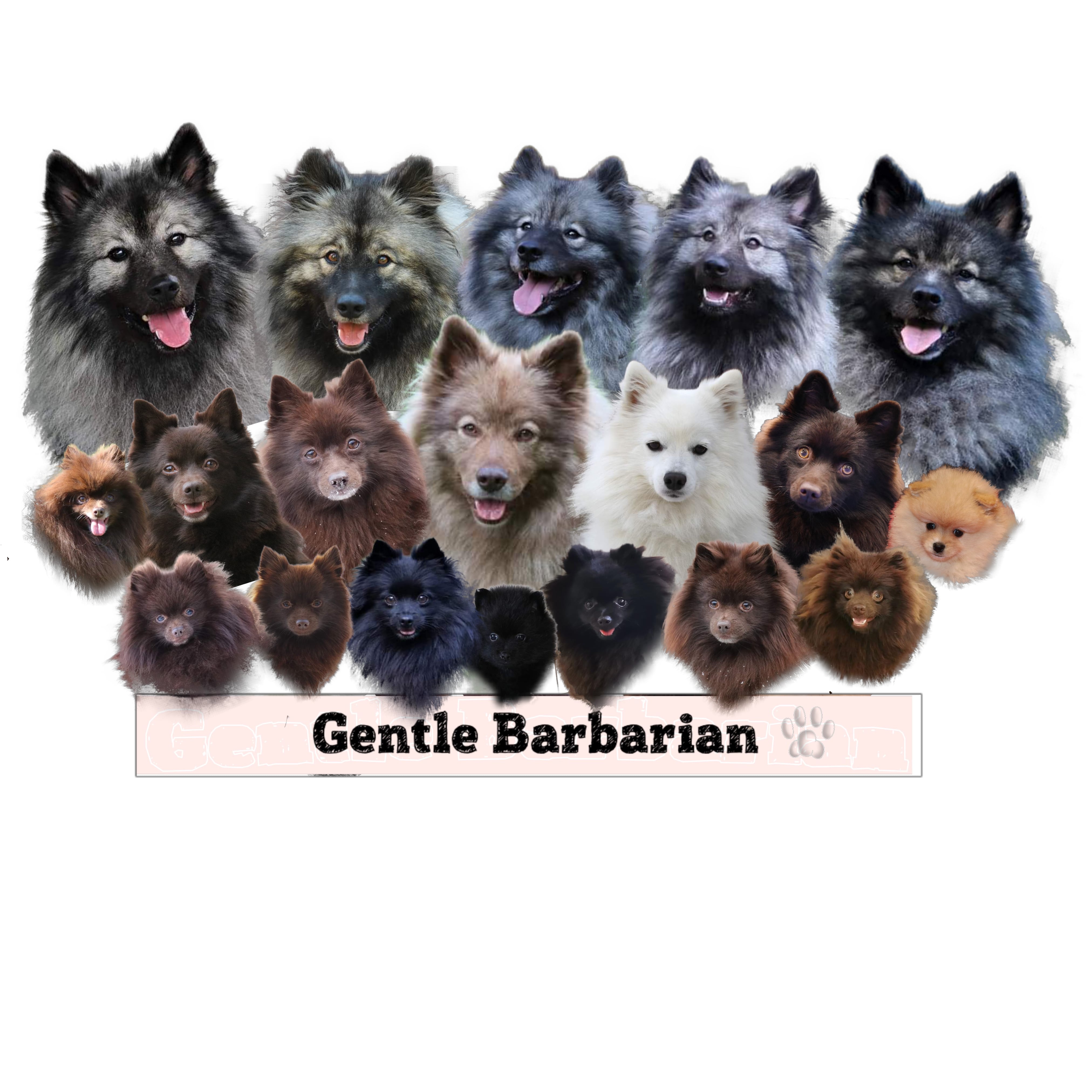 Gentle Barbarian