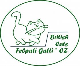 A Felpati Gatti