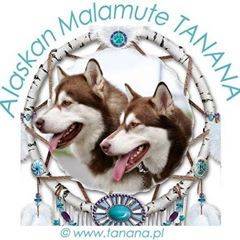 Tanana