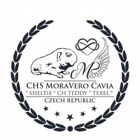 Kennel MoraVero Cavia