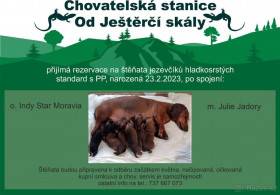 Od Ještěrčí skály