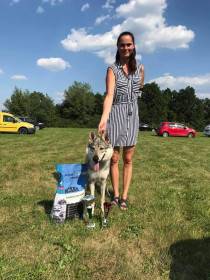 Nymeria wolfdog