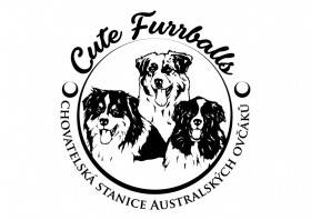 Cute Furrballs