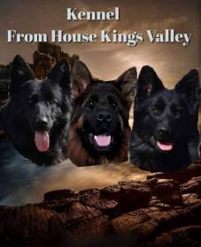 From House Kings Valley
