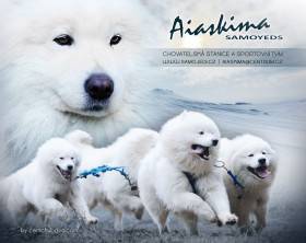 Aiaskima