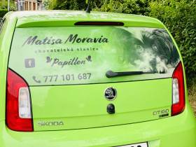 Matisa Moravia