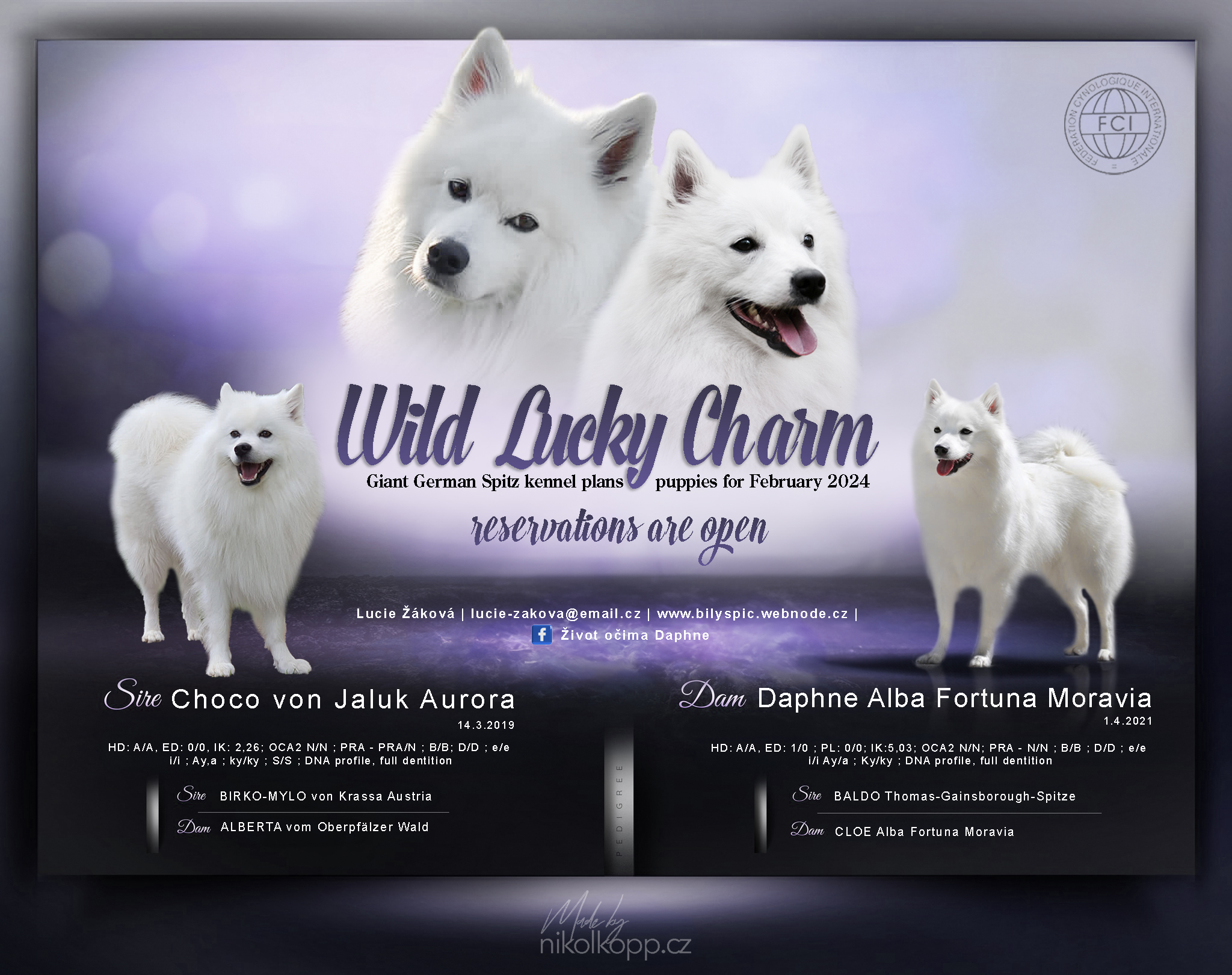Wild Lucky Charm