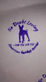 No Doubt Loving