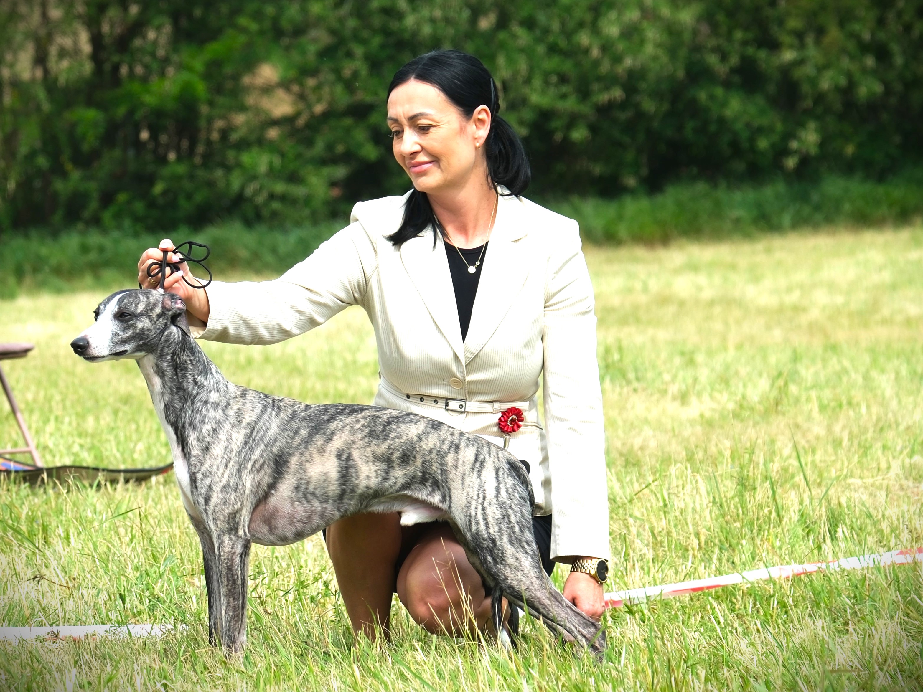 Atlantis Magic AlexemDream