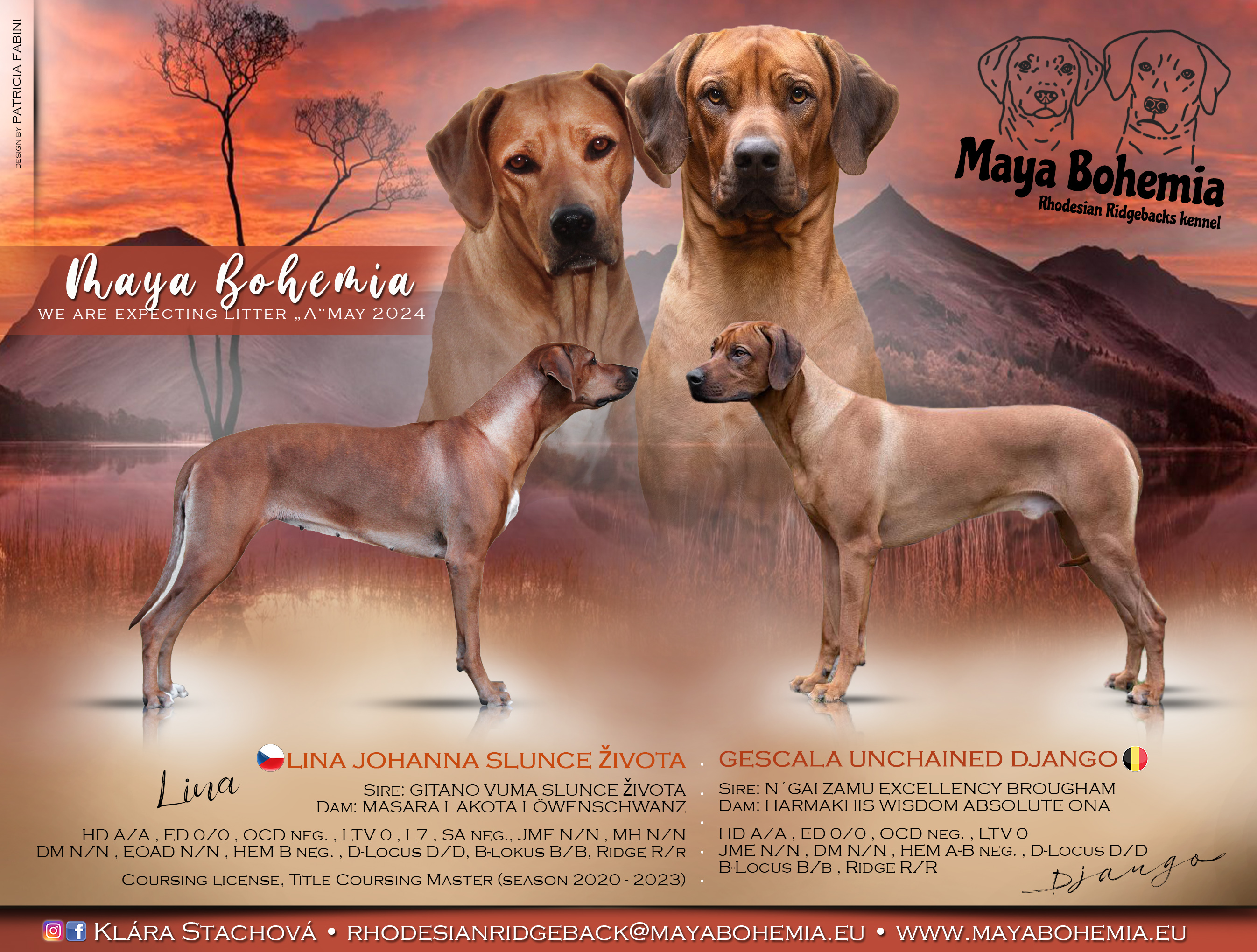 CHS Maya Bohemia