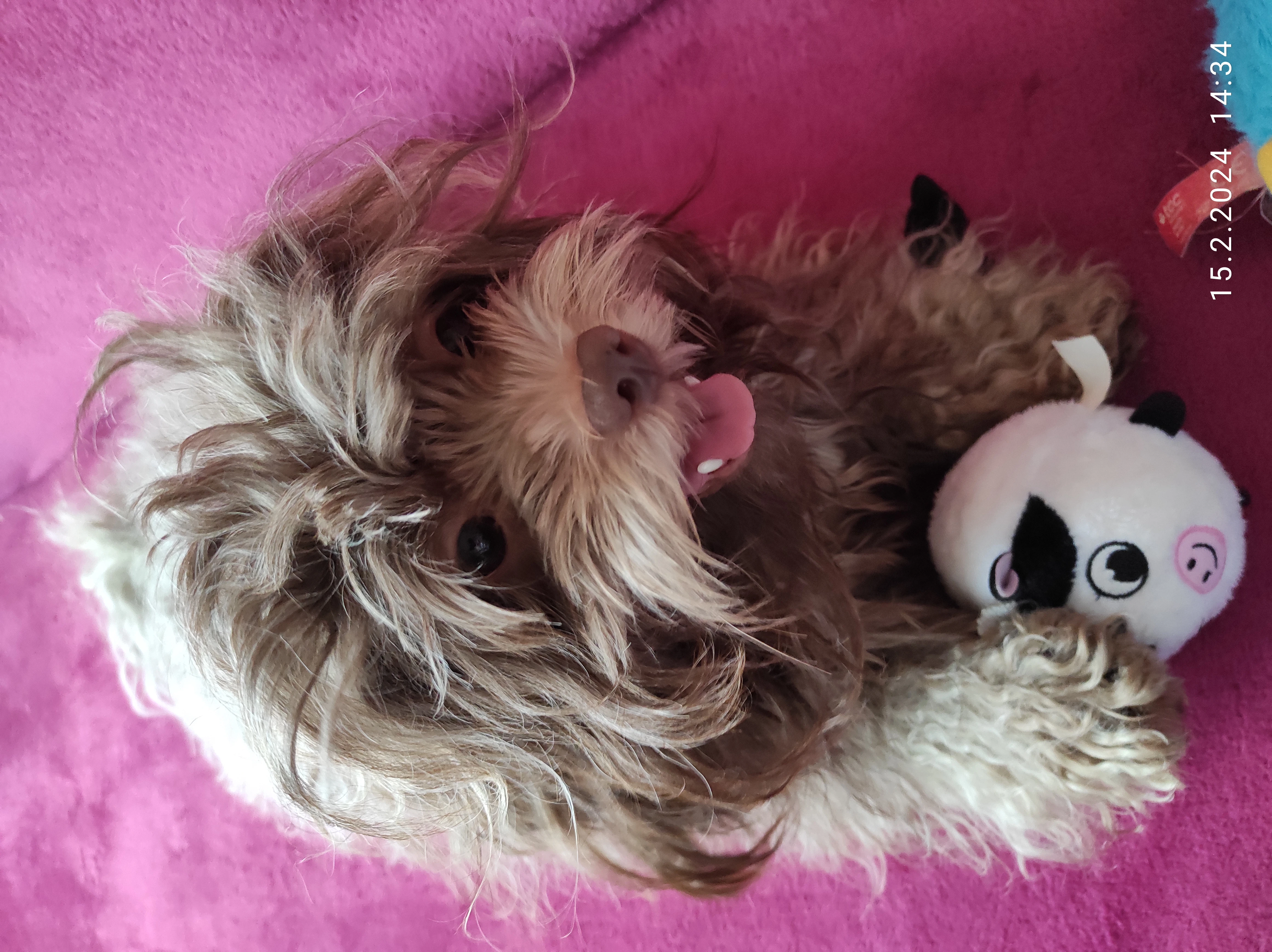 Od Toku Divoké Orlice