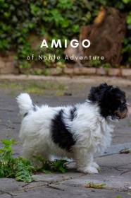 Of Noble Adventure