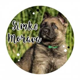 Simko Morava