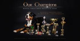 Our champions