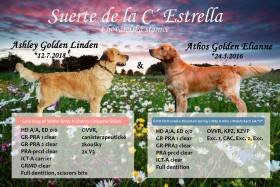 Suerte de la C´ Estrella