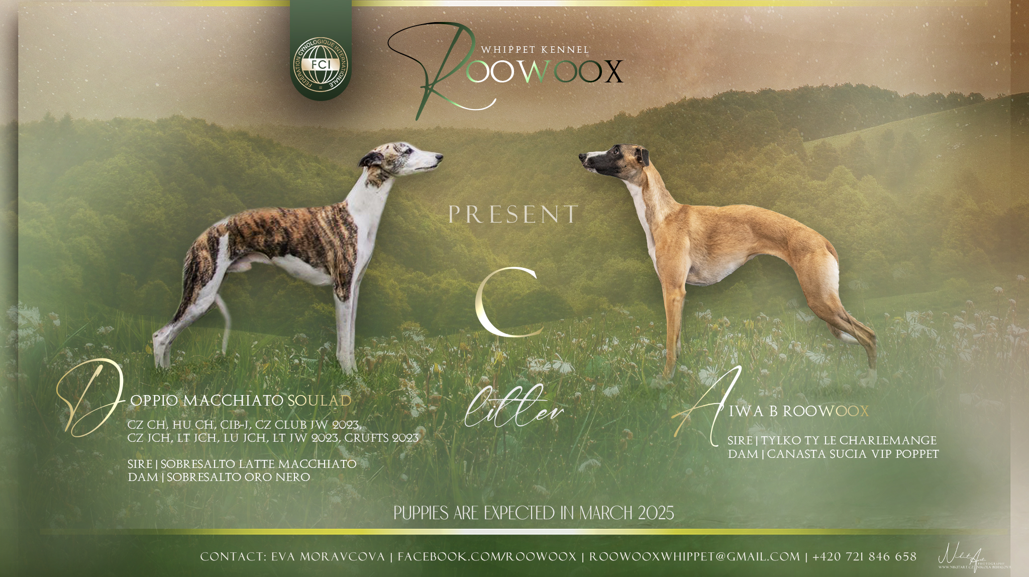 Roowoox
