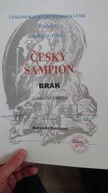 Z Lesovny