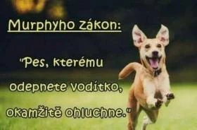 Z Kraje Muhu