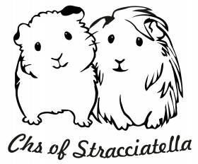 Of Stracciatella