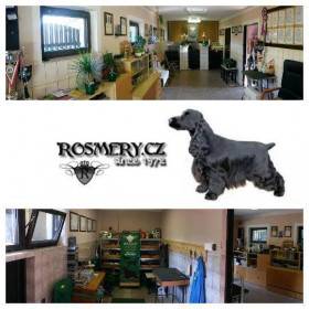 Rosmery