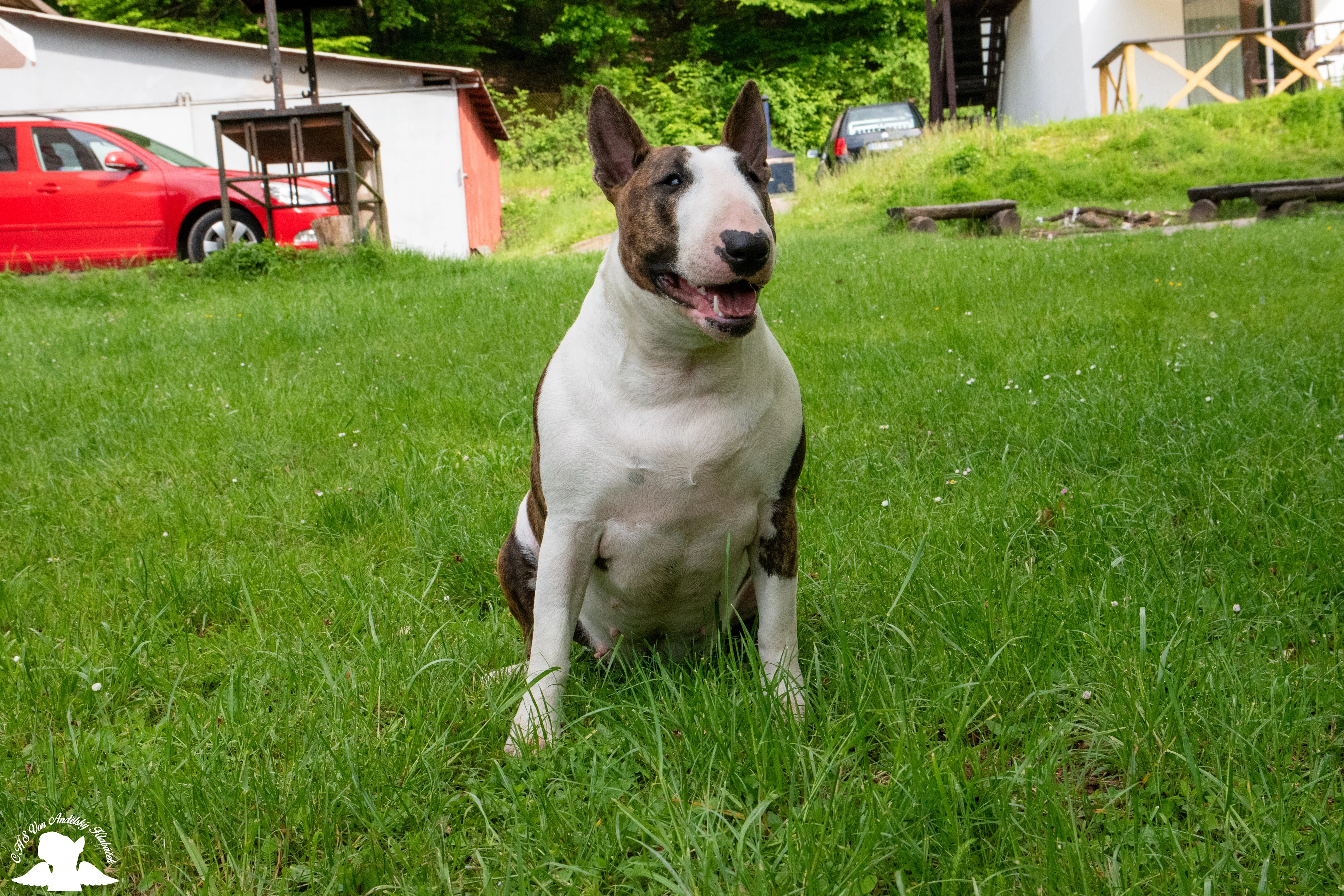 Von Andělský Klabáček