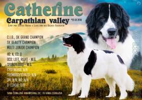 Carpathian valley