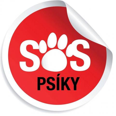 Zaneta Sospsiky