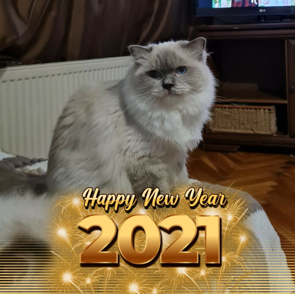 Vlaďka Reinhartová